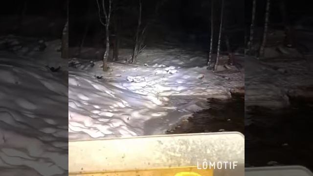 Теберда 30.12.2018г смотреть онлайн