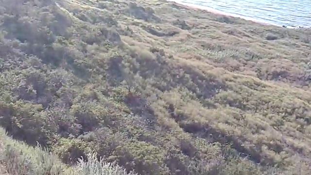 Берег Азова, Кучугуры 2015 смотреть онлайн