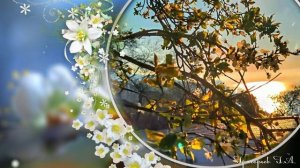 Крымская весна. Красивый ролик, красивая природа и хорошая музыка! Приятного просмотра!