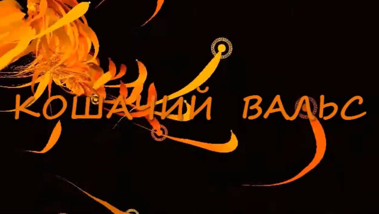 Праздник каждый день. Кошачий вальс