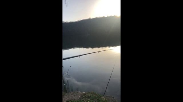 14.04.2022р. Біля турбази "Росинка* в с. Касперівці: Ловля риби сітками в нерест продовжується. смотреть онлайн