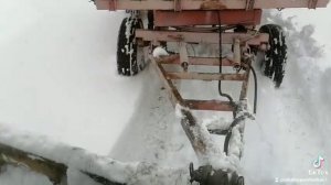 Трактор МТЗ 82 в работе, с загруженным прицепом по глубокому снегу