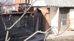 Побег из курятника / Chicken Run