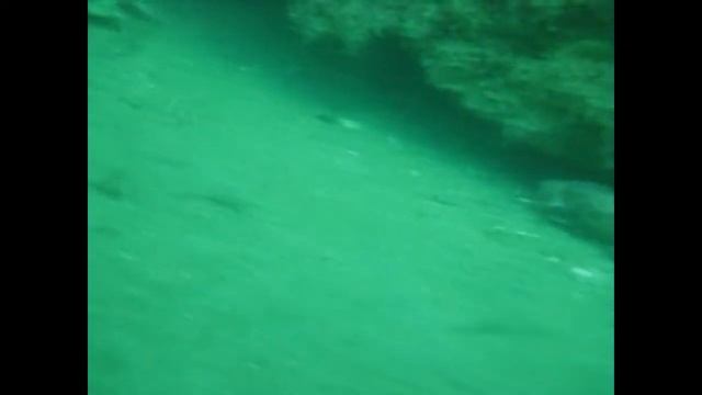 Крым2010-ф.avi смотреть онлайн