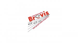 Хоровой ансамбль «Brevis» Центра творческого развития «Радость»