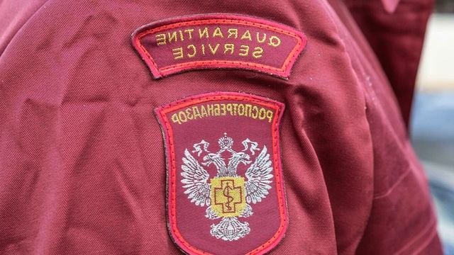 В Ленобласти нелегальный хостел закрыли на карантин смотреть онлайн