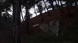 Ведьмина поляна. Назарова дача. Архипо-осиповка. Август 2020(2)