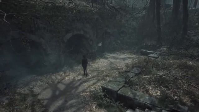 The Medium с тифлокомментариями. Часть 4. Дом отдыха "Нива" смотреть онлайн