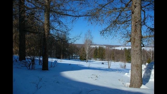 Подольск Усадьба Лесные Поляны