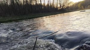 Холохольня