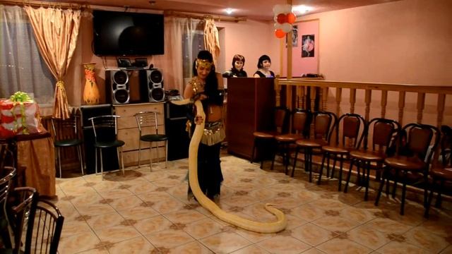 Марина Рачинская. Танец с питонами смотреть онлайн