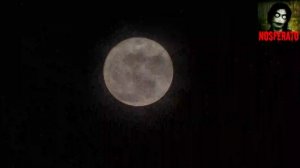 Случай на скорой. Страшные истории на ночь 🫣🫣🫣