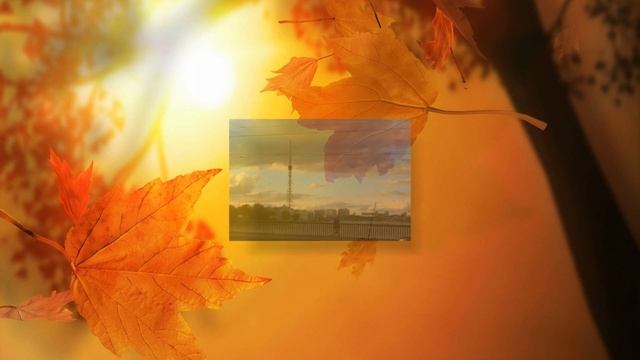 Петербургская осень на моих фотографиях. 2016 год. смотреть онлайн