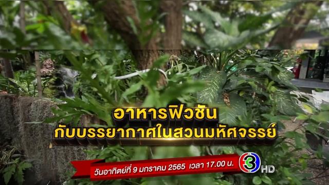 The Red Ribbon ไฮโซโบเยอะ ภารกิจติดโบ | 9 มกราคมนี้ смотреть онлайн