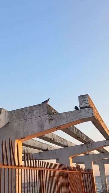 г.СОЧИ , ЗАКАТ НА ЧЁРНОМ МОРЕ , СОЛНЦЕ И МЕСЯЦ ОДНОВРЕМЕННО , 28.08.2г . смотреть онлайн