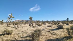 DeepMe - Yucca Valley , California, USA Live Dj Mix 2024