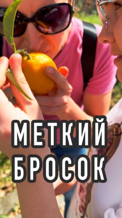 Добыча лимона 🍋 Меткий бросок #грузия