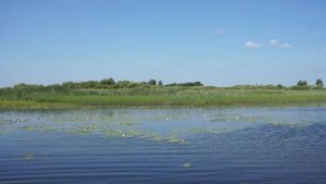 озеро БРОДСКАЯ ЛАХТА