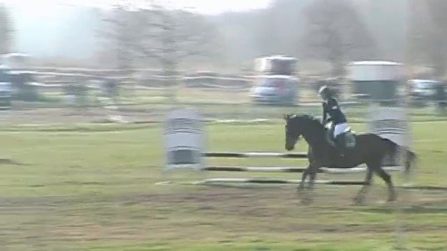 Üllő, 2011. 04. 02.Tóth Rita, Mamivi Dalmával, a B0-ban. (díjugratás) смотреть онлайн