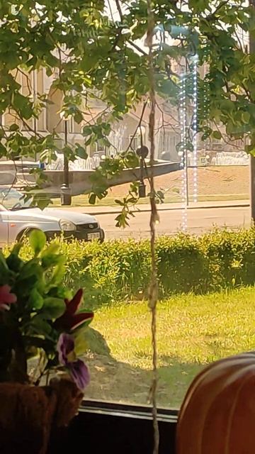 Кафе с видом на фонтан Липецк смотреть онлайн