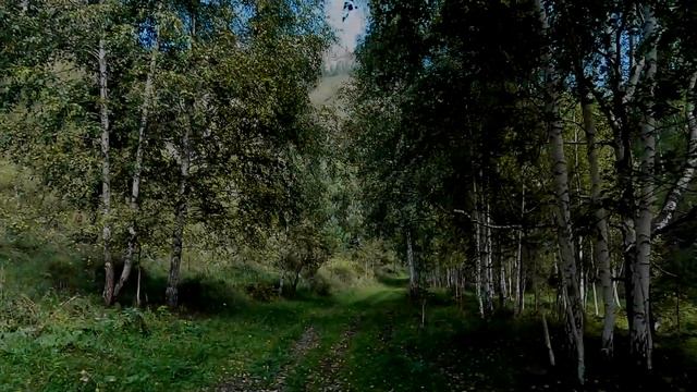 Республика Алтай. Река Верхняя Еланда