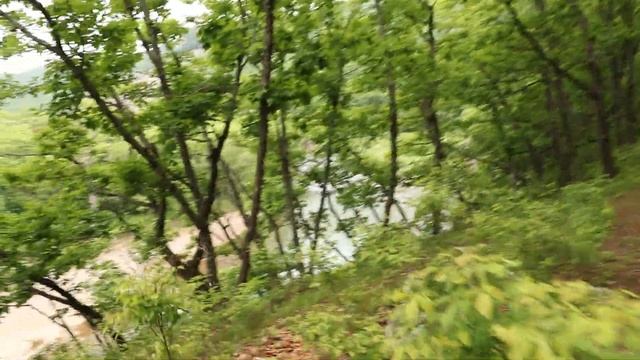 Лето Приморье 7 июня 2024 г. Пятница р.Тигровая Сица Давыдов В.С. Прогулка Ущелье Дарданеллы смотреть онлайн