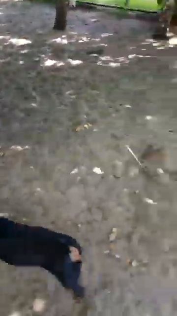 Активности смотреть онлайн