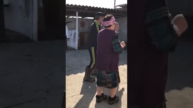 Алек каракоз смотреть онлайн