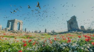 КОГДА ЗАКОНЧИТСЯ ВОЙНА (РОК ОПЕРА)