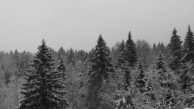 Ржищи с Квадрокоптера смотреть онлайн