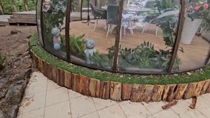 ОБЗОР НОМЕРА С ГРЯЗНЫМИ ОКНАМИ В ОТЕЛЕ ХВОЯ ЛЮБОЙ МОЖЕТ ВЗЯТЬ КЛЮЧИ И ЗАЙТИ