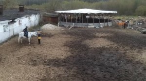 занятия верховой ездой в конном клубе Зеленый Остров