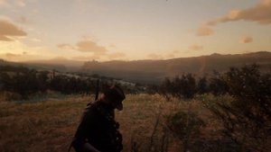 Обыкновенный фазан (common pheasant) Red Dead Redemption 2