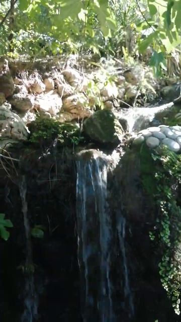 Bellis Deluxe 2022 свой водопад в бесплатном зоопарке смотреть онлайн