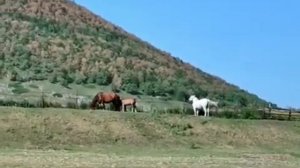 Башкортостан, Гафурийский район, деревня Таш - Асты.