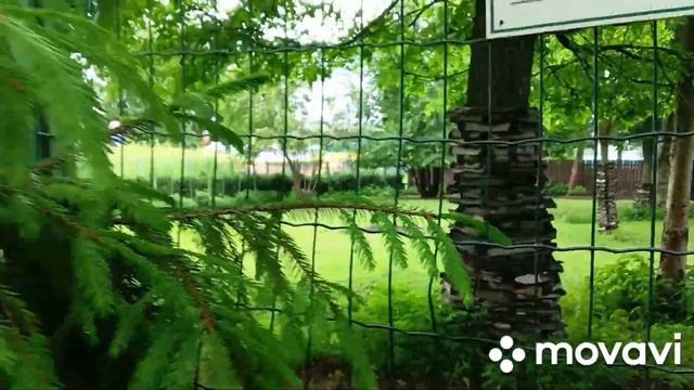 Карелия. Петрозаводск. Город выходного дня. Лето 2024. смотреть онлайн