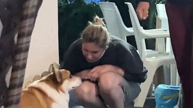 ВЛОГ АБХАЗИЯ 2024 | ПУТЕШЕСТВИЕ С КОРГИ | НОВЫЙ АФОН, ГАГРА, СУХУМ, ОЗЕРО РИЦА | смотреть онлайн