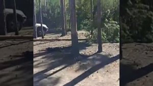 Томская область. Шегарский район. С. Победа.