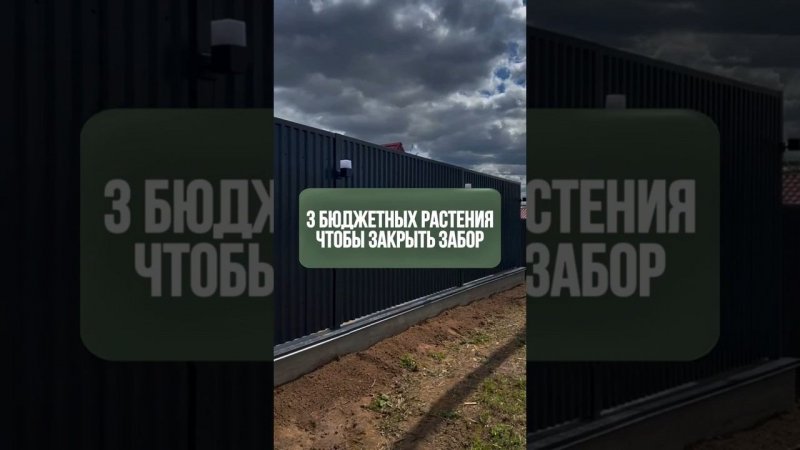 ЗАКАЗАТЬ БЛАГОУСТРОЙСТВО И ОЗЕЛЕНЕНИЕ: +7(985)920-77-00 (WhatsApp, Telegram) https://domozmsk.ru