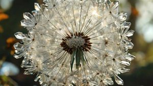 Дорогая племянница, прими самые теплые поздравления с Днем Рождения! 🎂