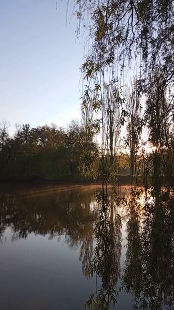 24.04.2025 #сегоднятак #сегодня #природа #nature #oggicosì #бүгін #oggi #hoy #今日 #today #오늘 #자연 #自然