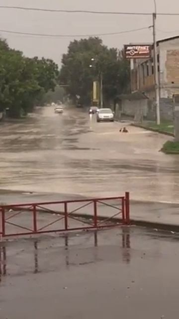 Симферополь ул Гурзуфская асвальтный плавец.