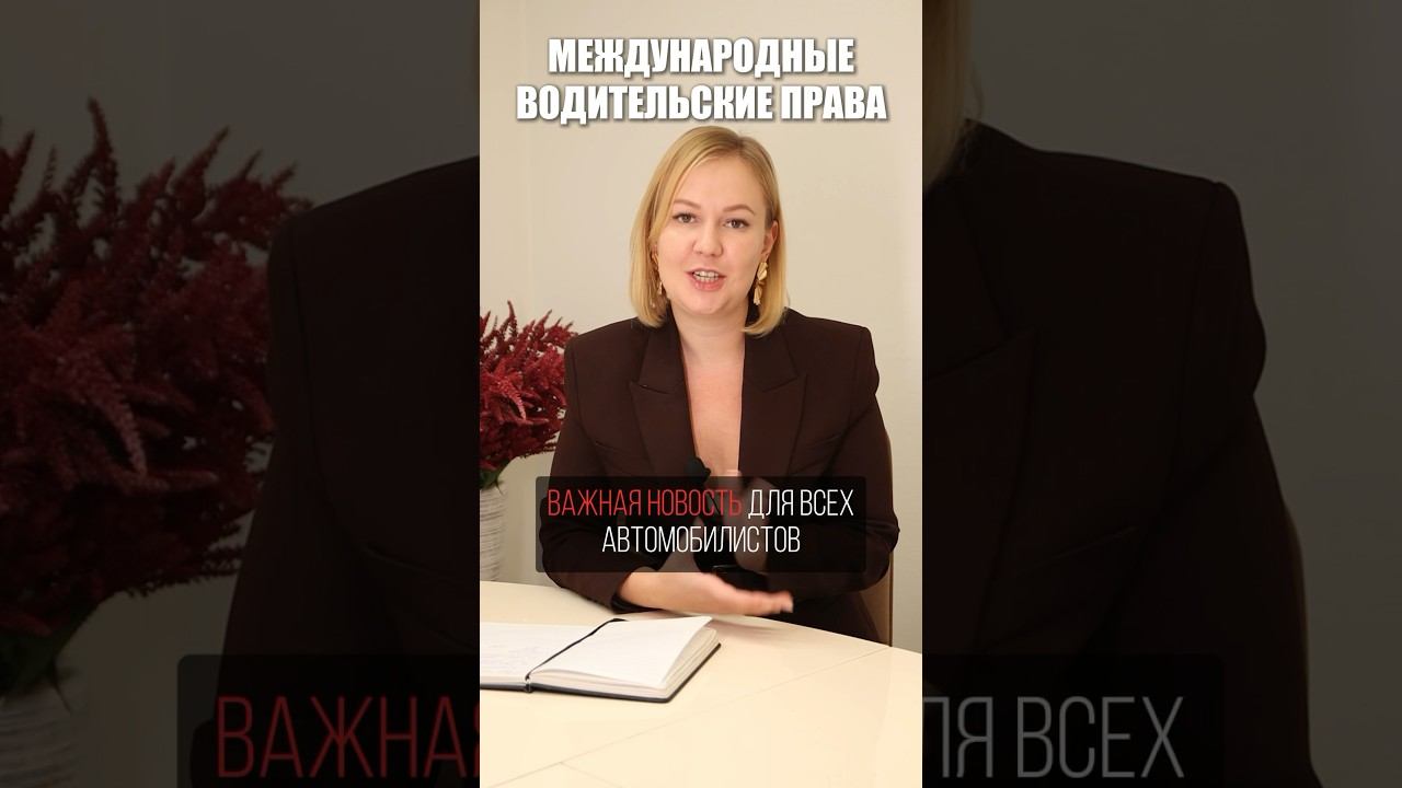 Как получить международные права #юрист #пдд2024 #водительскиеправа #водительскоеудостоверение