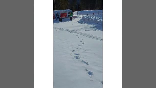 Сюгеш 2021 смотреть онлайн