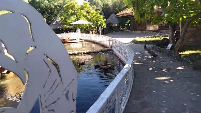 Что происходит в парке Планета сейчас, мы с Хамзатом Даудовым расскажем Вам в видео-сюжете. ч.2 смотреть онлайн