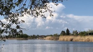 Есть только два варианта гармоничной жизни:
либо люби тех, с кем живешь, пибо живи с теми, кого люб