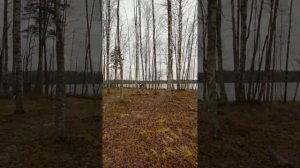 Домик в Карелии 2020