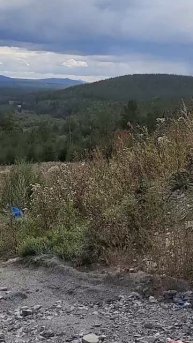 Южный Урал, Челябинская область, архивное видео, август 2023 года.
