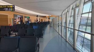 Вьетнам/Ченду /Дубай /Абу-Даби /Египет/ Пересадка Аэропорт Ченду транзитная зона/ Панды