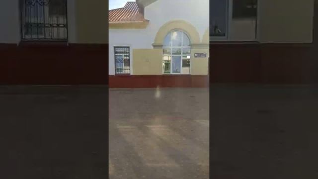 поезд 🚆 номер 705 Полоцк- Могилёв смотреть онлайн